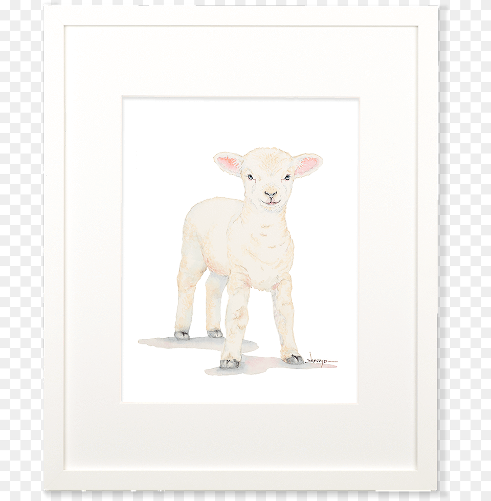 Baby Lamb Wall Artclass Sheep, Animal, Livestock, Mammal Free Transparent Png