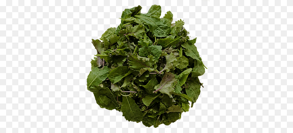 Baby Mix Kale Babe Farms Spring Greens, Plant, Herbs, Leaf, Food Png Image