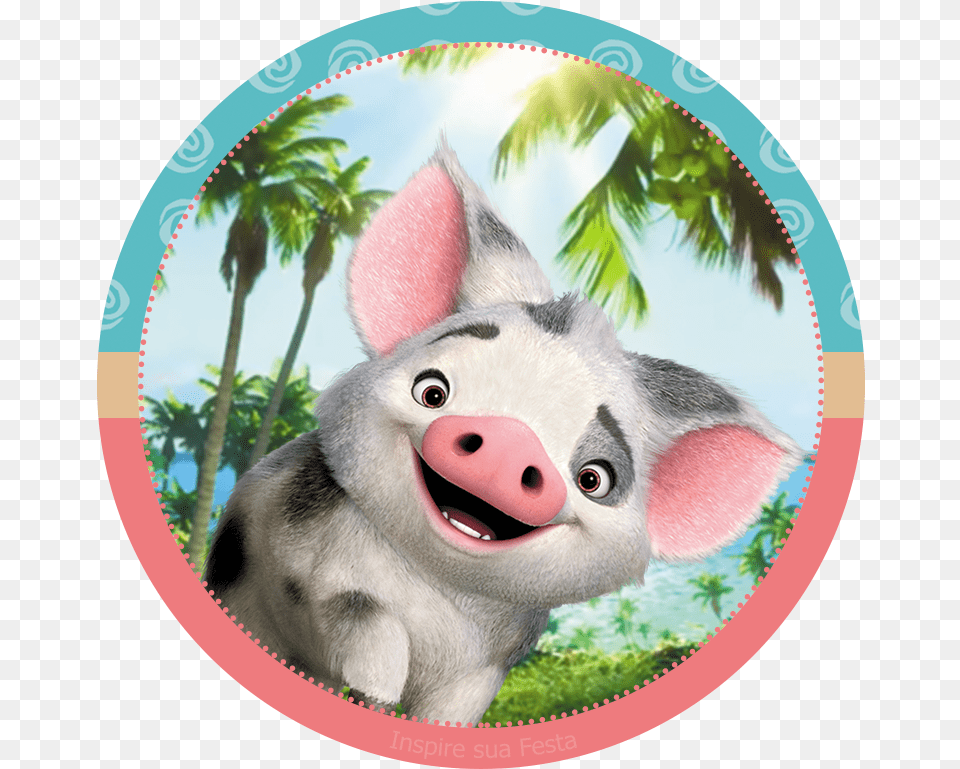 Baby Moana, Animal, Mammal, Pig, Photography Png