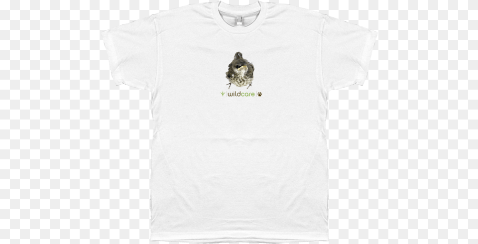 Baby Mockingbird T Shirt Pug, Clothing, T-shirt, Animal, Bird Png