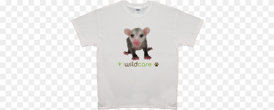 Baby Opossum T Shirt 25 Donation T Shirt, Clothing, T-shirt, Animal, Mammal Png