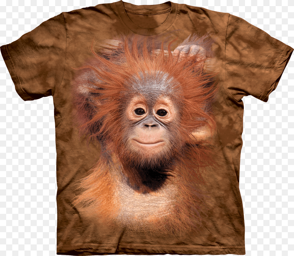 Baby Orangutan Animal T Shirts, Mammal, Monkey, Wildlife Free Transparent Png