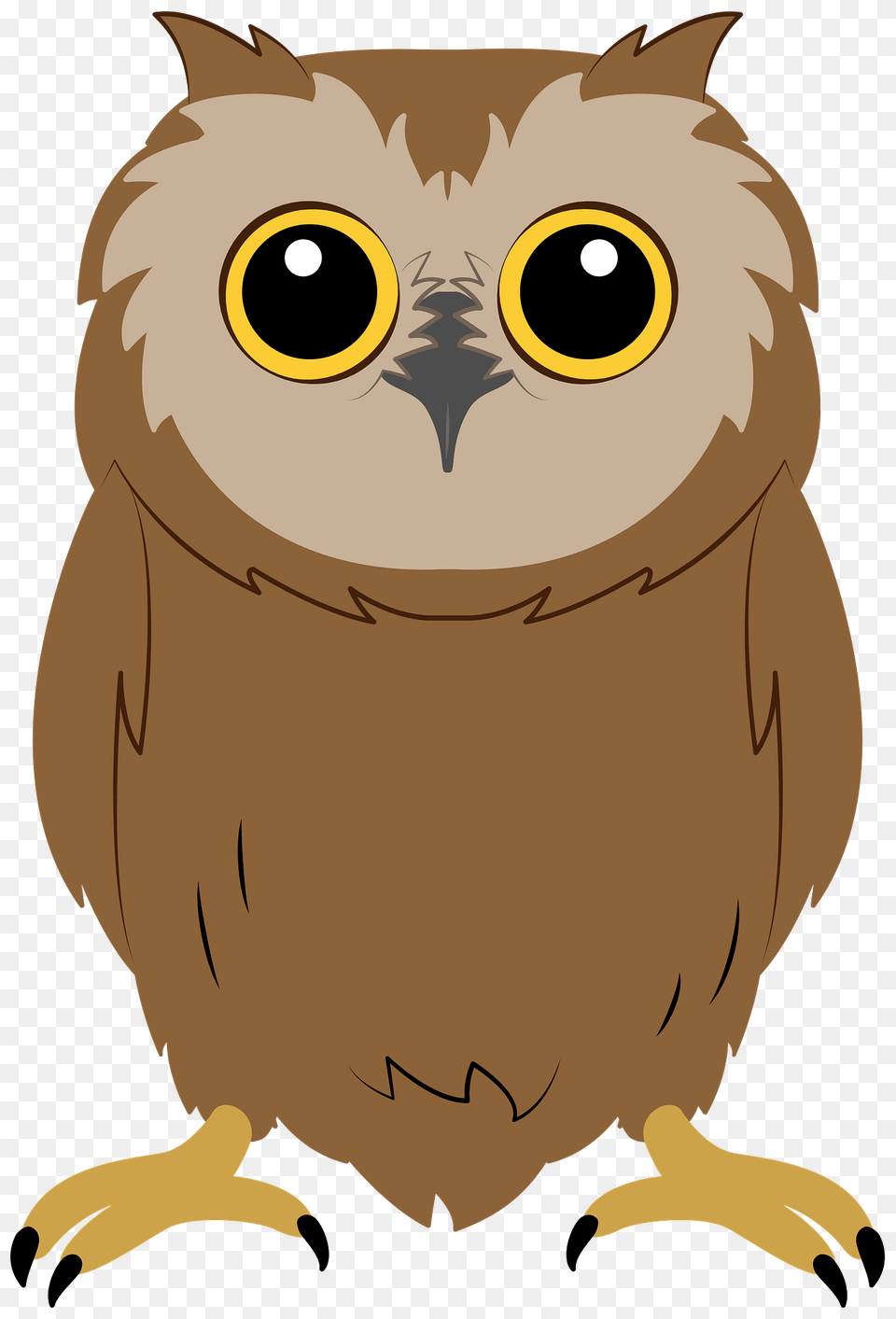 Baby Owl Clipart, Animal, Bird, Beak, Person Png Image