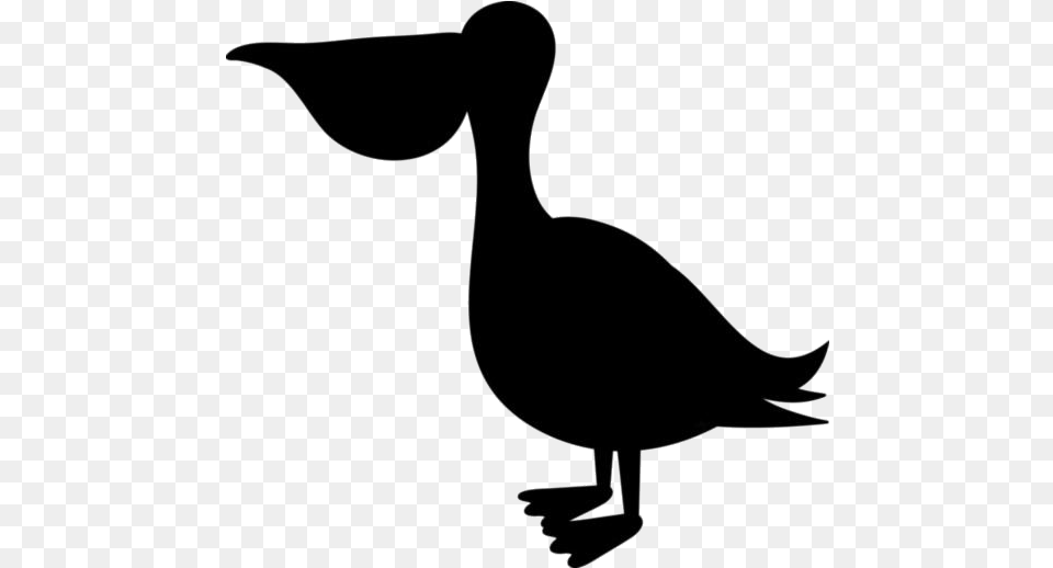 Baby Pelican Images Duck, Animal, Waterfowl, Bird, Silhouette Free Png