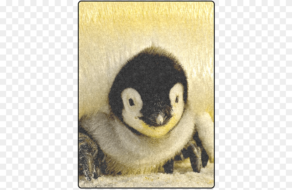 Baby Penguin Blanket 58 X80 Comment Les Pingouin Se Reconnaissent, Animal, Bear, Mammal, Wildlife Free Transparent Png