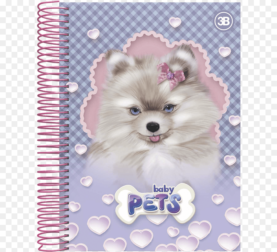 Baby Pets 3 Pomeranian, Greeting Card, Envelope, Mail, Pet Png Image