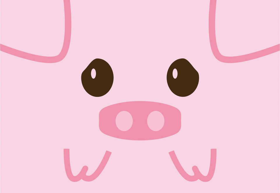 Baby Pig Clipart, Snout Free Transparent Png