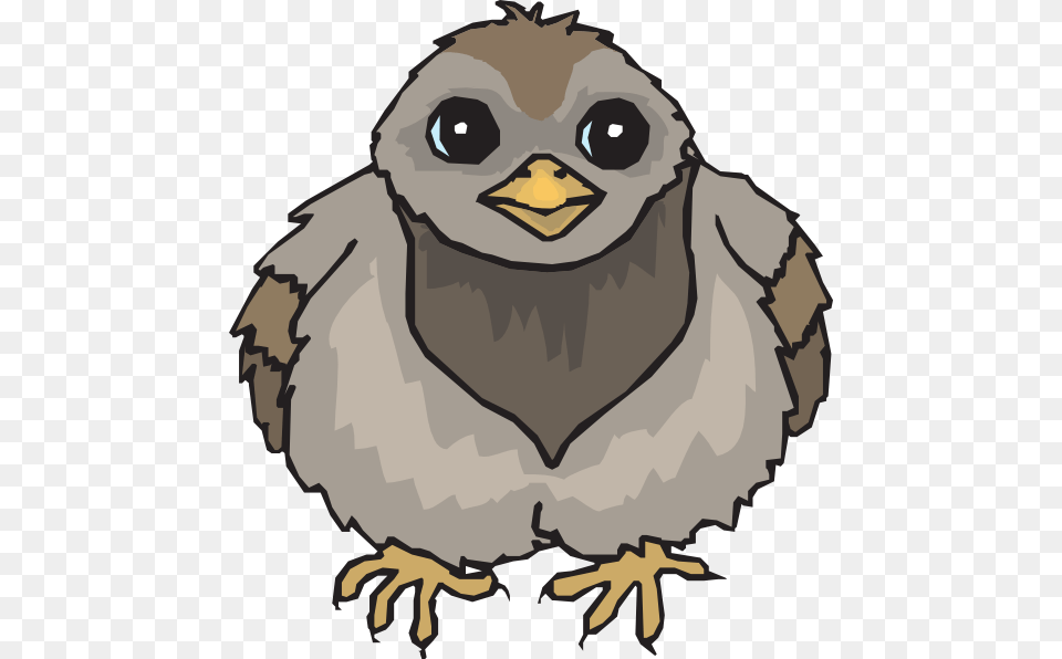Baby Pigeon Cartoon, Person, Animal, Face, Head Png