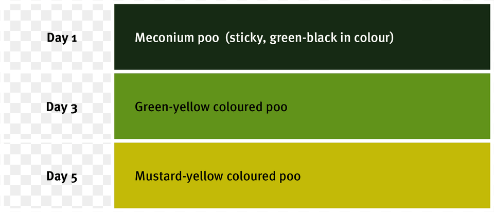 Baby Poo Colour Guide Infant, Text, Page Png
