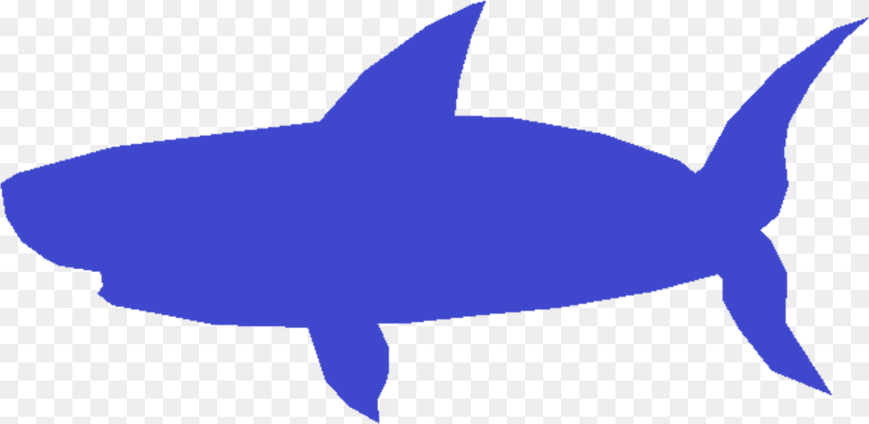 Baby Shark Blue Shark, Animal, Fish, Sea Life, Tuna Free Png