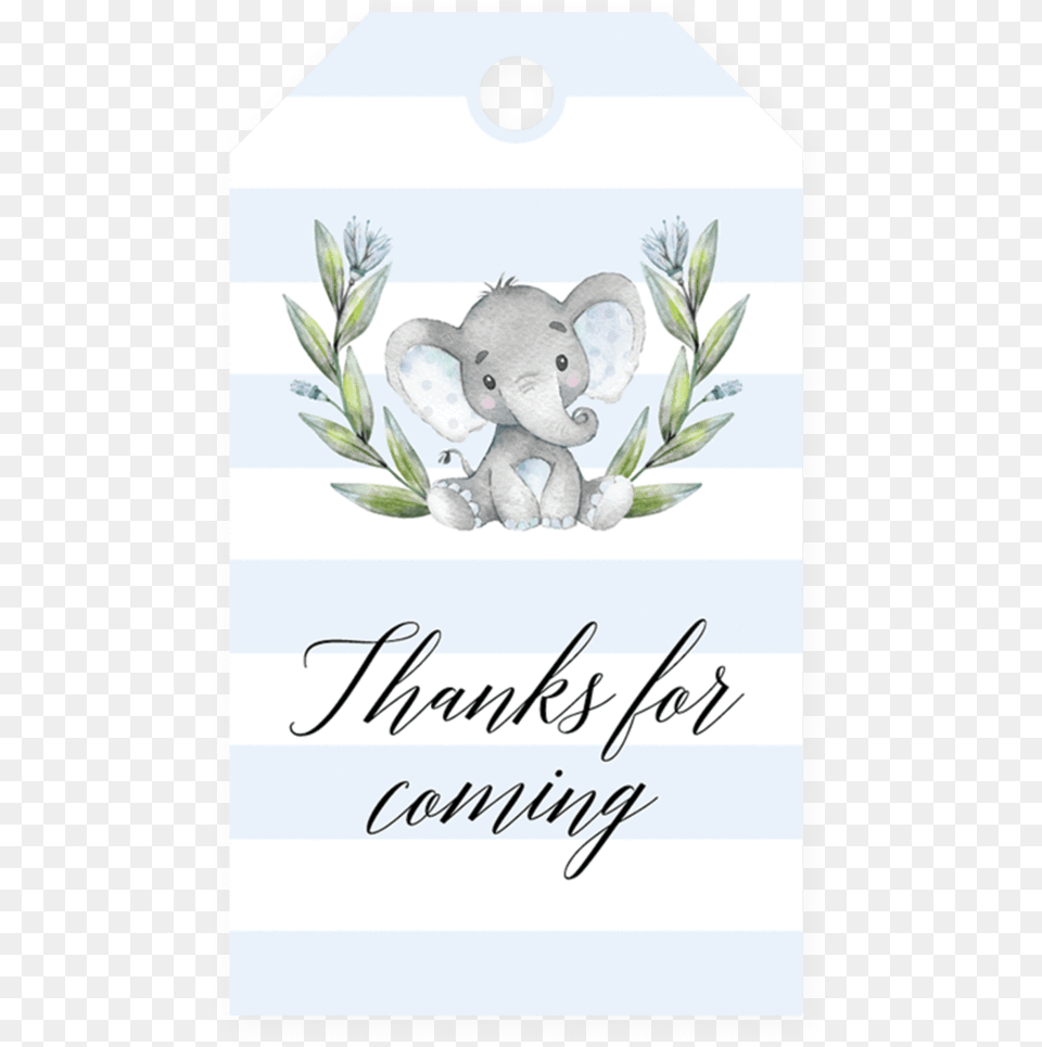 Baby Shower Elephant Printable, Plant, Envelope, Greeting Card, Mail Free Transparent Png