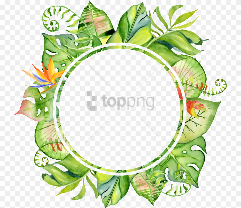 Baby Shower Invitation Boho Tropical Image Flower Tropical Border, Plant, Leaf, Art, Herbs Png