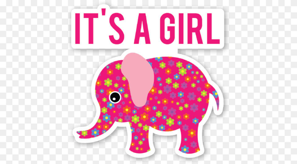 Baby Shower Its A Girl Cant Take A Joke Quote, Animal, Elephant, Mammal, Wildlife Free Transparent Png