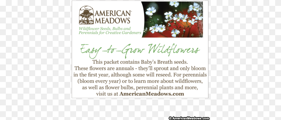 Baby Shower Seed Packet American Meadows Christmas Eve Cayena, Advertisement, Poster, Envelope, Greeting Card Free Png Download