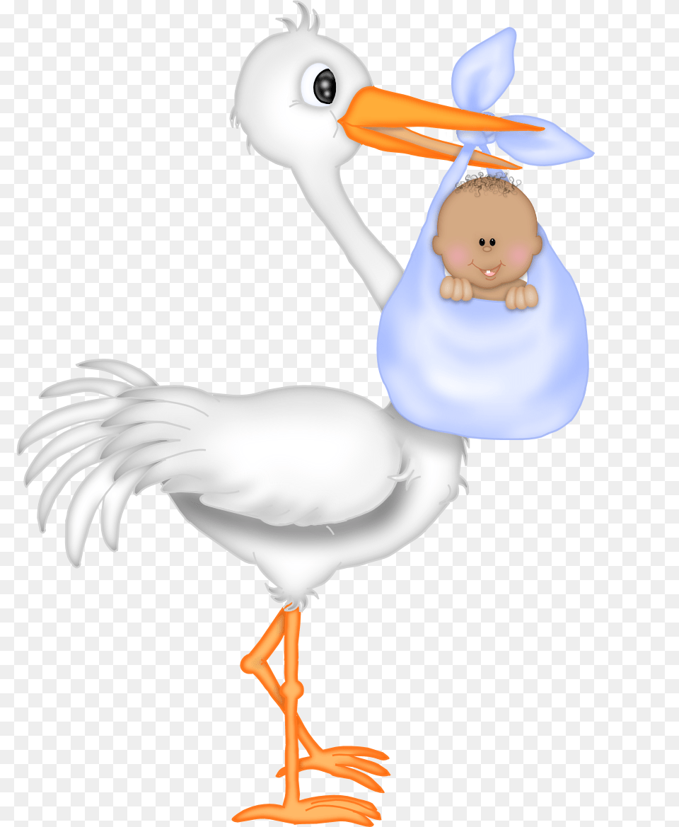 Baby Shower Stork, Animal, Beak, Bird, Waterfowl Png