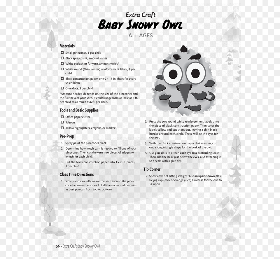 Baby Snowy Owl Brochure, Face, Head, Person, Art Free Png Download