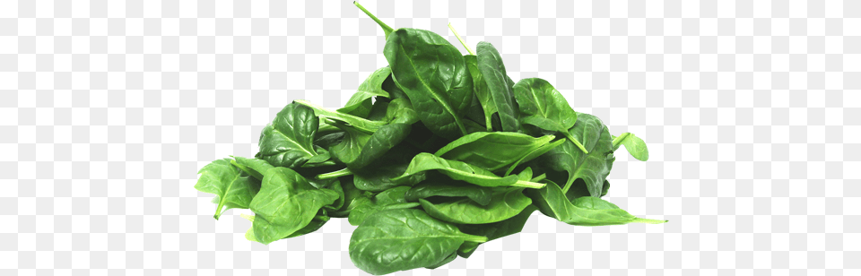 Baby Spinach 100g Spinach, Food, Leafy Green Vegetable, Plant, Produce Png Image
