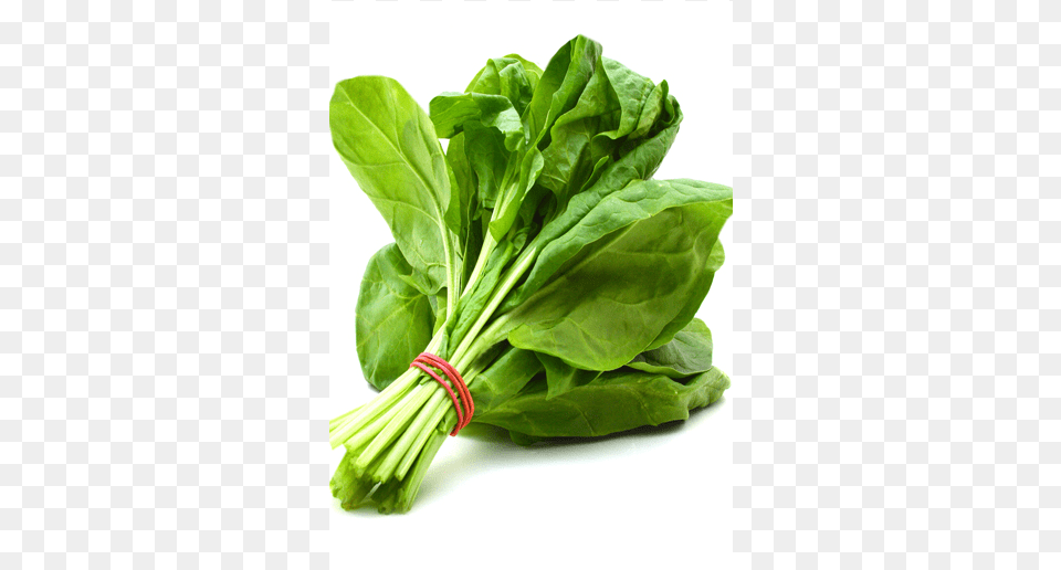 Baby Spinach Palaka Pepper Agro Leafy Vegetable Seed 6 Variety Greens With, Food, Leafy Green Vegetable, Plant, Produce Png
