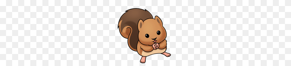 Baby Squirrel, Animal, Bear, Mammal, Rodent Free Transparent Png