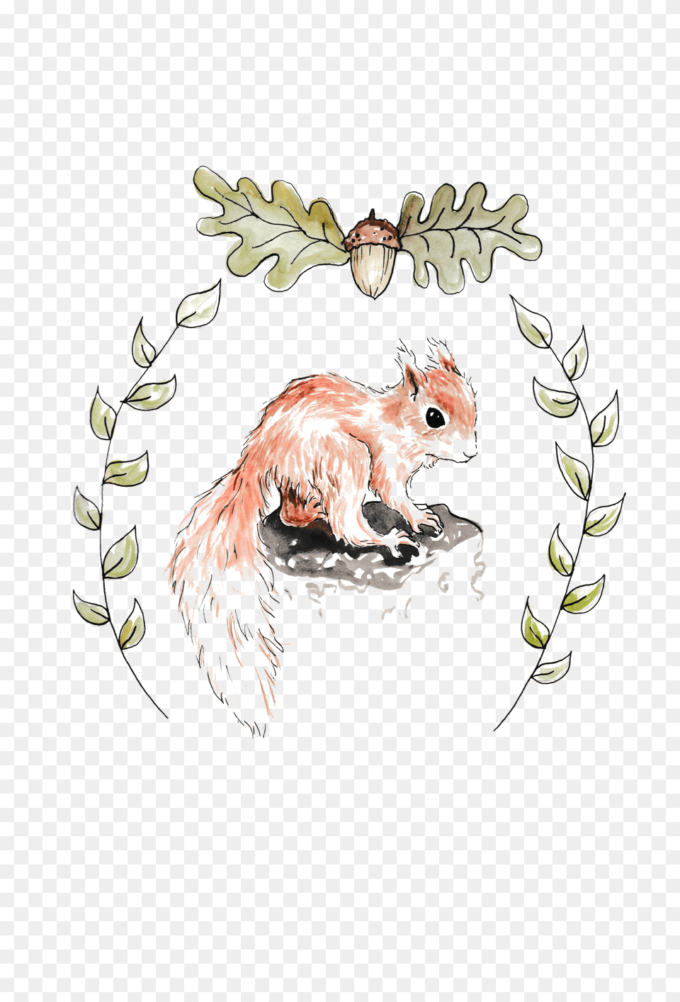 Baby Squirrel Squirrel, Logo, Text Png