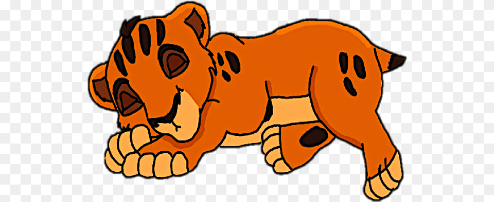 Baby Taka Tiger, Animal, Lion, Mammal, Wildlife Png