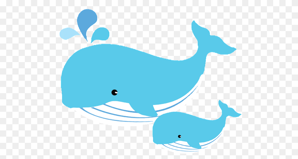 Baby Whale Clipart, Animal, Person, Mammal Free Png Download