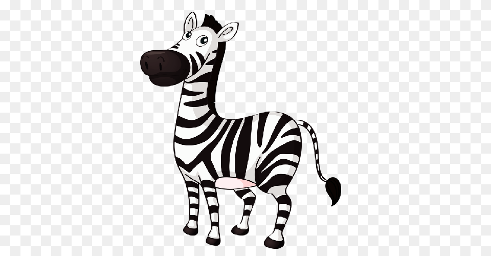 Baby Zebra Cartoon Group, Animal, Mammal, Wildlife Png Image