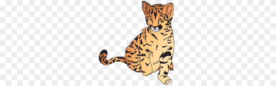 Baby Zoo Animals Clip Art Clipart, Animal, Cheetah, Mammal, Tiger Free Transparent Png