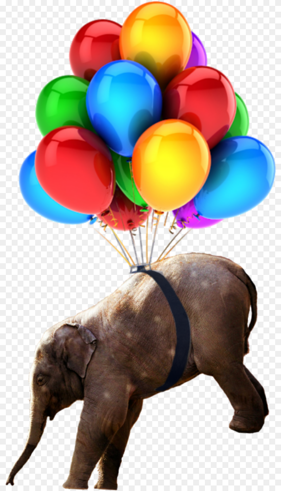 Babyelephant Nobackground Elephant Balloons Hd Birthday Images Balloons, Balloon, Animal, Mammal, Wildlife Png Image