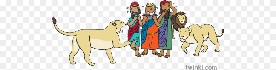 Babylonian Governors Surrounded By Angry Lions Illustration Cartoon, Person, Baby, Animal, Lion Png Image