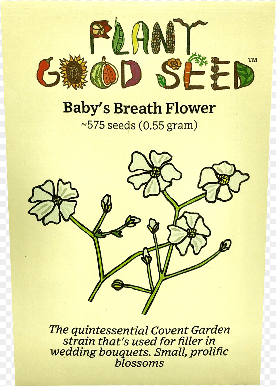 Babyquots Breath Flowerquotdata Image Seed, Advertisement, Envelope, Greeting Card, Herbal Free Png