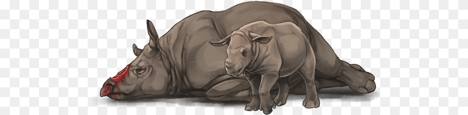 Babyrhinoday Indian Rhinoceros, Baby, Person, Animal, Mammal Png Image