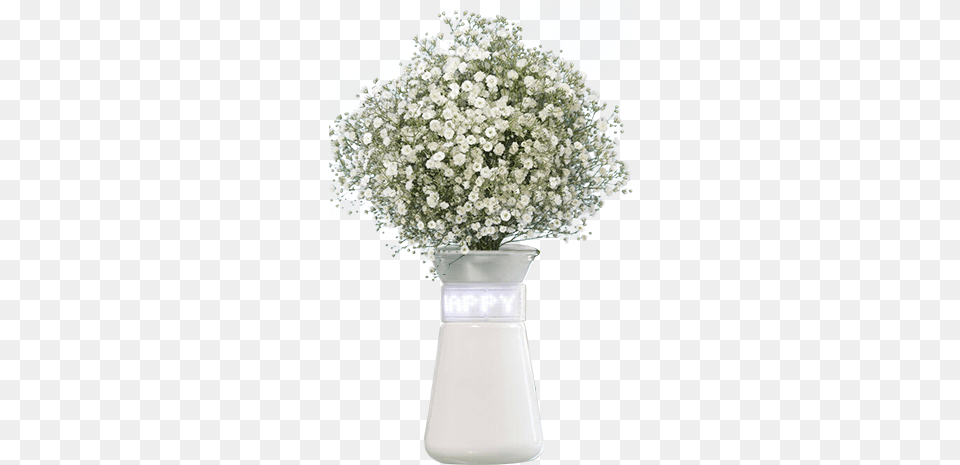 Babys Breath Flowers For Sale Express Vase, Flower, Flower Arrangement, Flower Bouquet, Jar Png