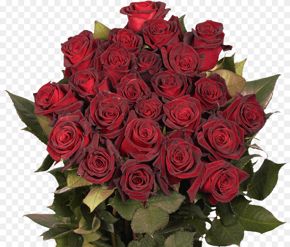 Baccara Black Roses Lovely, Flower, Flower Arrangement, Flower Bouquet, Plant Free Png Download