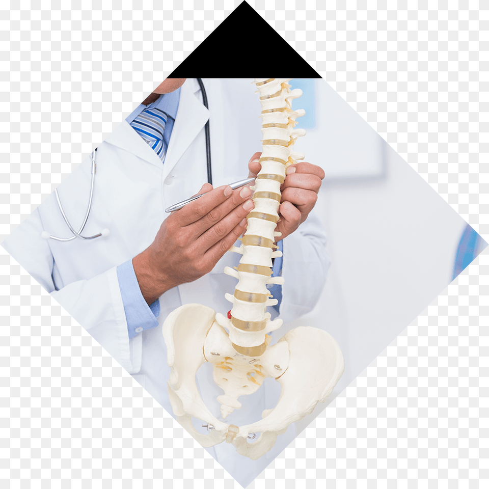 Back Amp Spine Conditions Background Doctor With Spine, Clothing, Coat, Lab Coat, Adult Png
