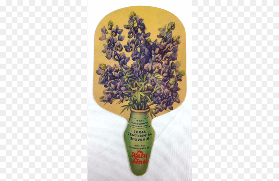 Back Bluebonnet, Flower, Plant, Lavender, Jar Free Transparent Png