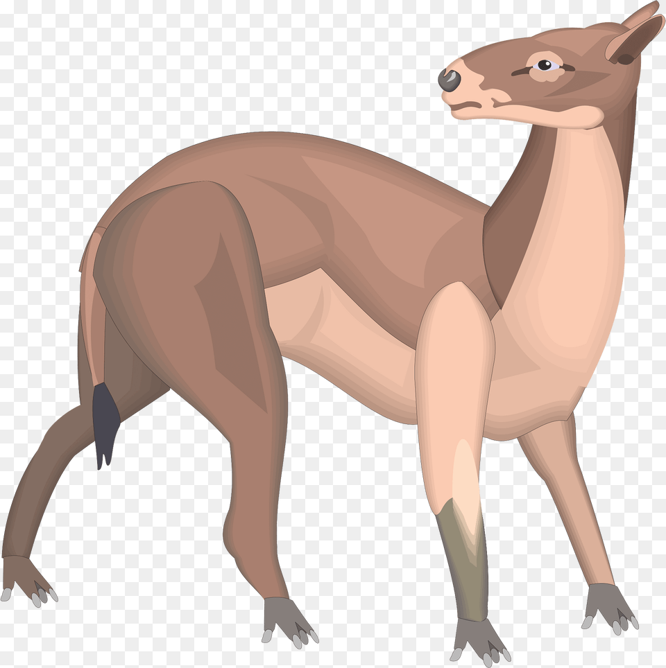 Back Clipart, Animal, Kangaroo, Mammal Free Transparent Png