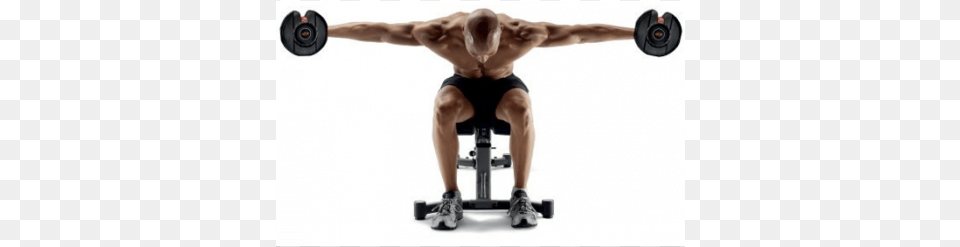 Back Dumbbell Exercises, Adult, Male, Man, Person Free Transparent Png