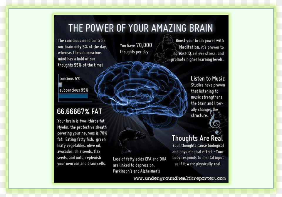 Back Forth Power Of Your Amazing Brain, Text, Advertisement, Adult, Bride Png Image
