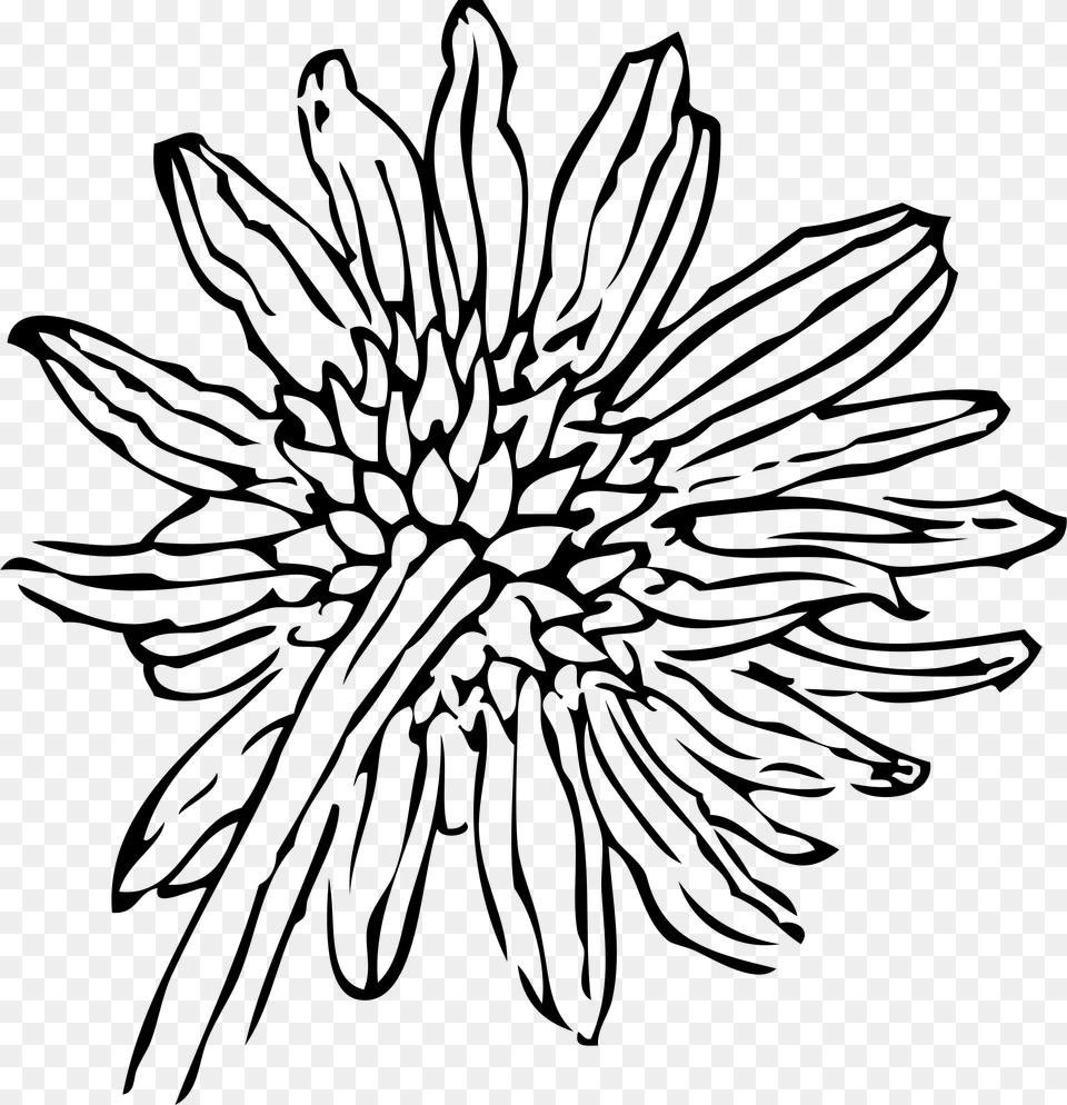 Back Of A Sunflower Clip Arts Simple Flower Line Art, Gray Png