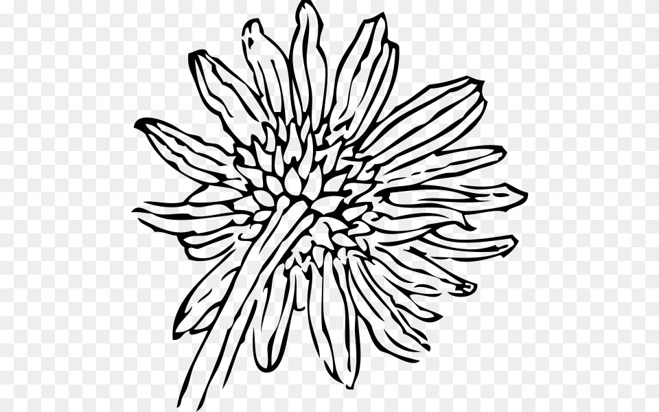 Back Of A Sunflower Clipart For Web, Gray Free Transparent Png