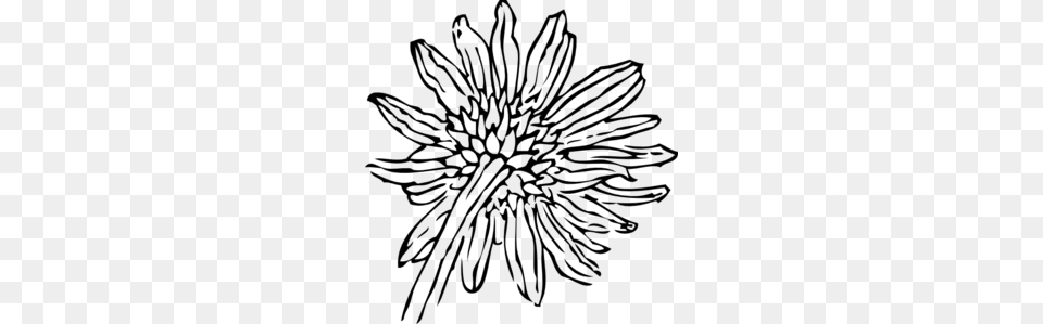 Back Of A Sunflower Outline Clip Art, Gray Free Png Download