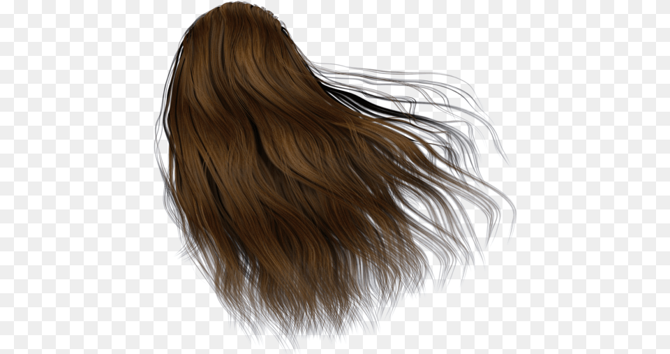 Back Of Hair, Adult, Female, Person, Woman Free Transparent Png