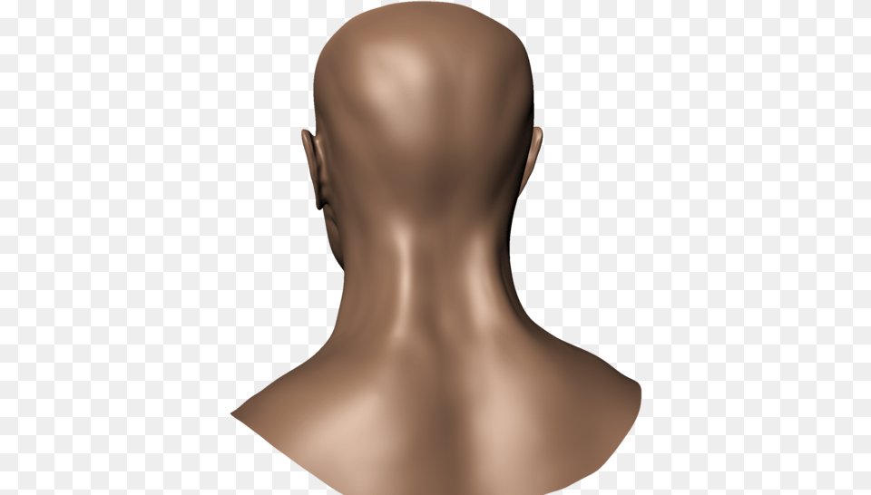 Back Of Head Head Back, Body Part, Face, Neck, Person Png