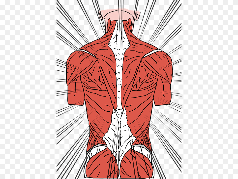 Back Pain Backache Back Ache Backpain Cramp Spine Back Muscles, Torso, Blouse, Body Part, Clothing Free Png