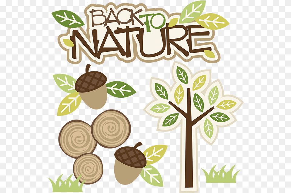 Back To Nature, Plant, Vegetable, Food, Nut Png