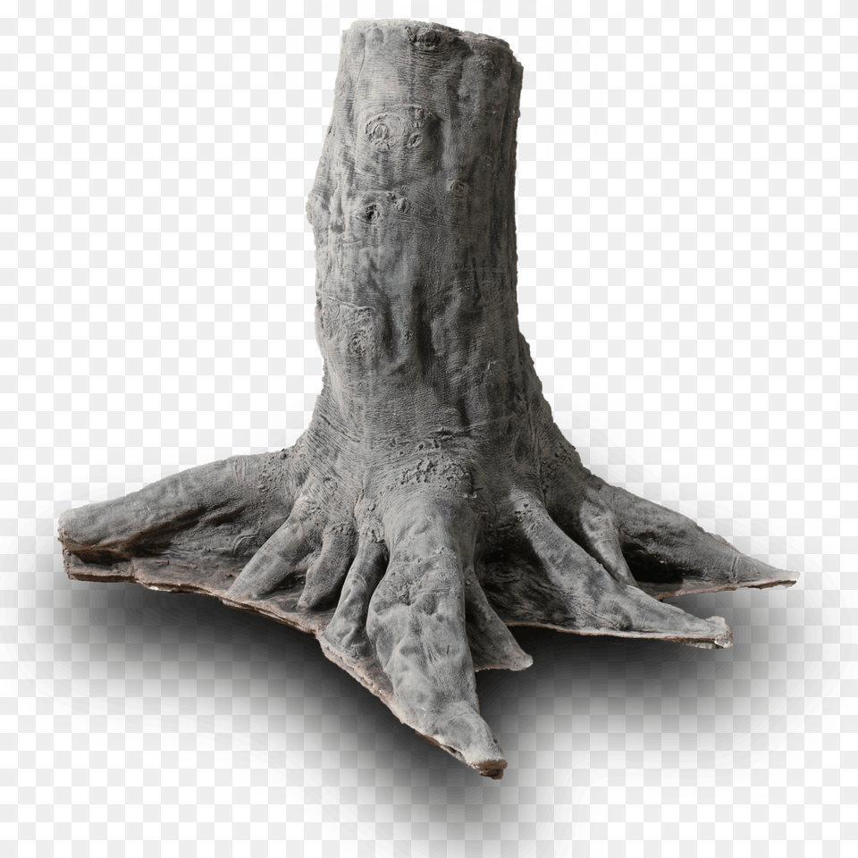 Back To Nature Slim Line Amazonas, Plant, Tree, Tree Stump, Wood Png