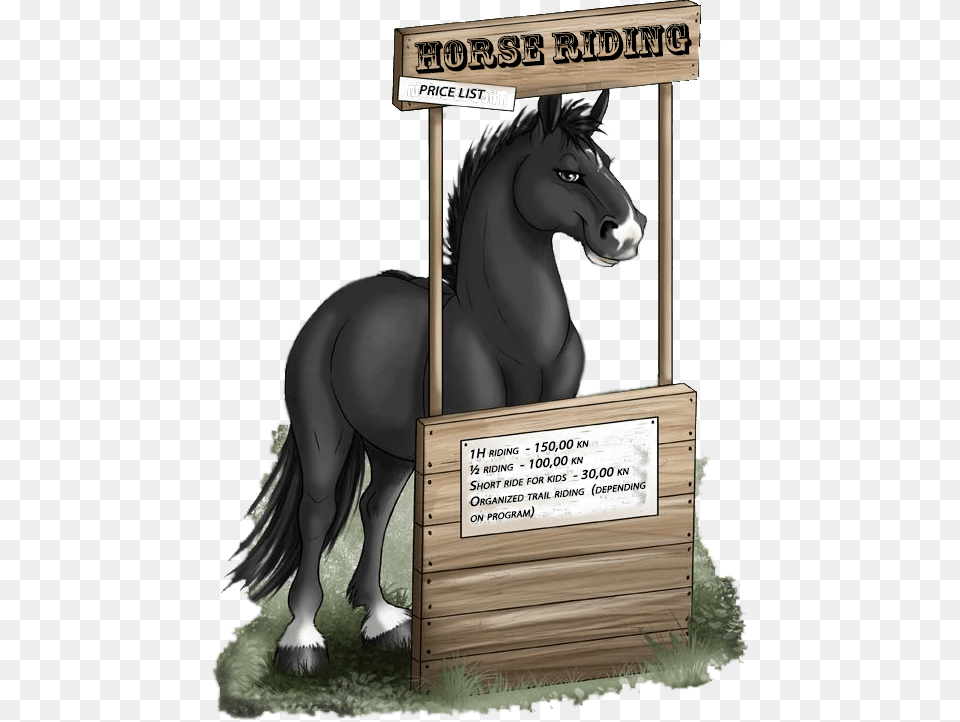 Back To School Horse, Animal, Colt Horse, Mammal Png