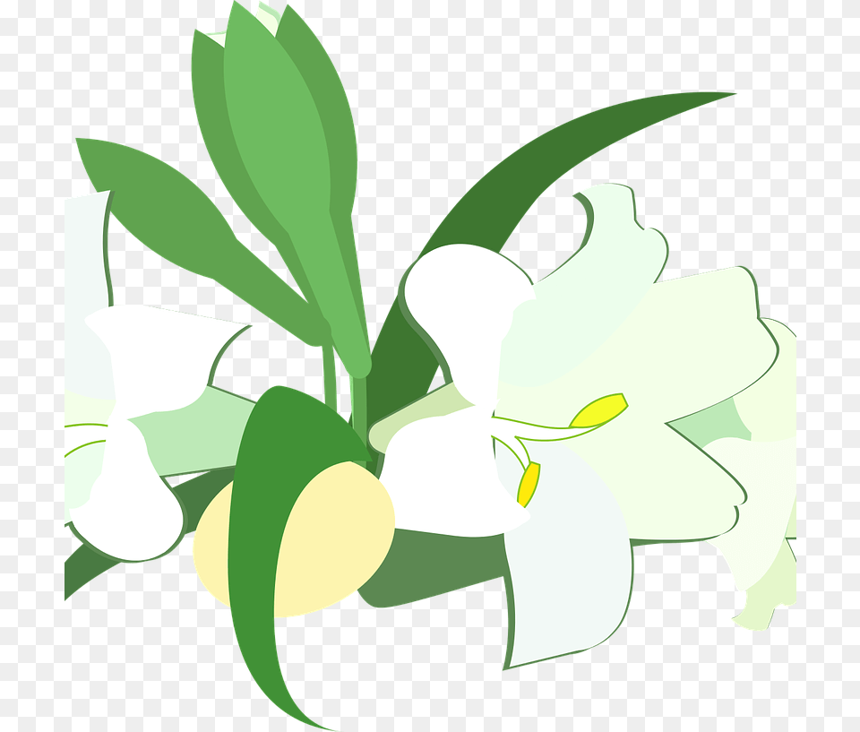 Back To Top Easter, Flower, Plant, Lily Free Transparent Png