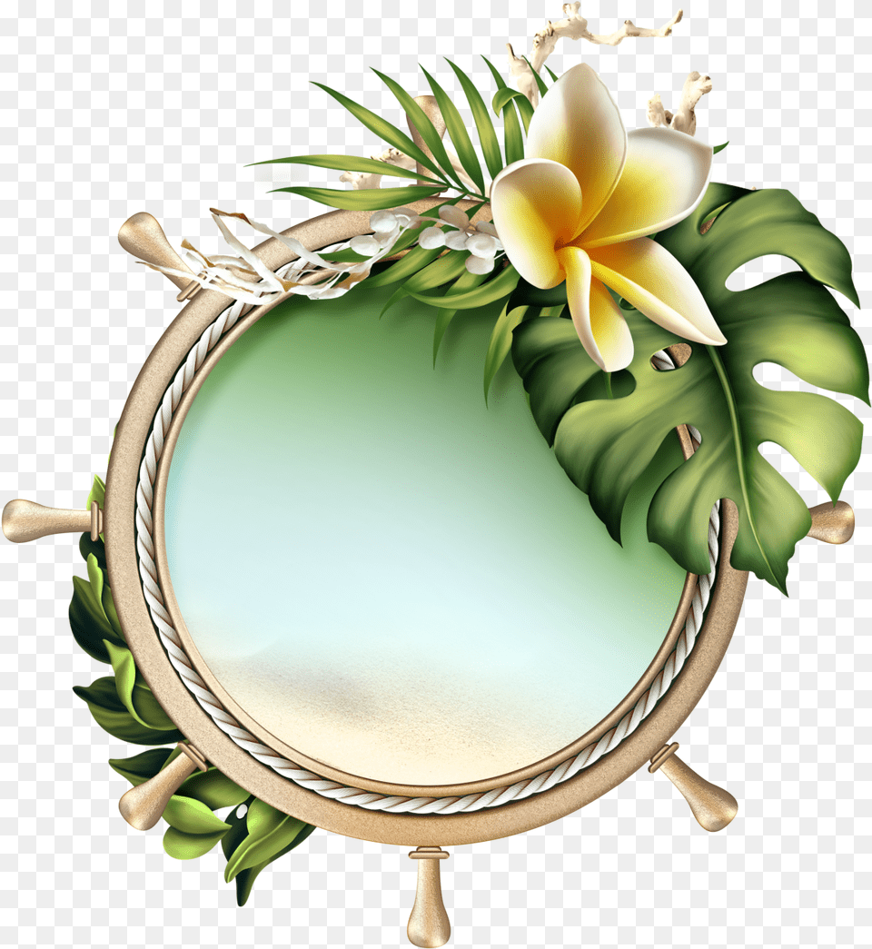 Back To Tropics Framed Wallpaper Flower Clipart Borders, Photography, Plant, Mirror Free Png